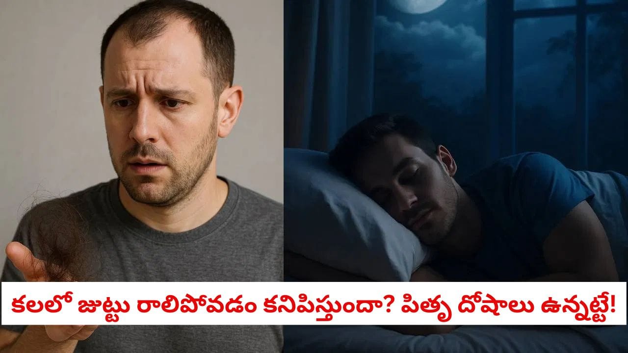 Swapna Shastra: కలలో ఇలా కనిపిస్తుందా? పితృదేవతల మీపై కోపంగా ఉన్నారనడానికి ఇది అతిపెద్ద సంకేతం!