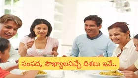 వాస్తు ప్రకారం భోజనం చేసే సరైన దిశలు ఇవే.. ధనం, ఆరోగ్యం రెండూ..