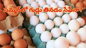సమ్మర్‌ గుడ్లు తింటే నిజంగానే వేడి చేస్తుందా.. వాస్తవమేంటి?
