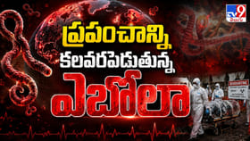 ఎబోలా వైరస్ కల్లోలంపై భారత్ హైఅలర్ట్.. ఈ లక్షణాలు కనిపిస్తే..