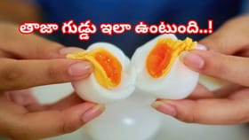 మీరు తింటున్న కోడిగుడ్డు మంచిదేనా? ఇలా ఈజీగా కనిపెట్టేయండి..!