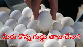 మీరు కొన్న గుడ్డు తాజాదా? లేదా పాడైపోయిందా.. ఇలా తెలుసుకోండి