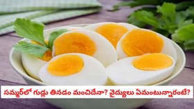 సమ్మర్‌లో గుడ్లు తినడం మంచిదేనా? వైద్యులు ఏమంటున్నారంటే?