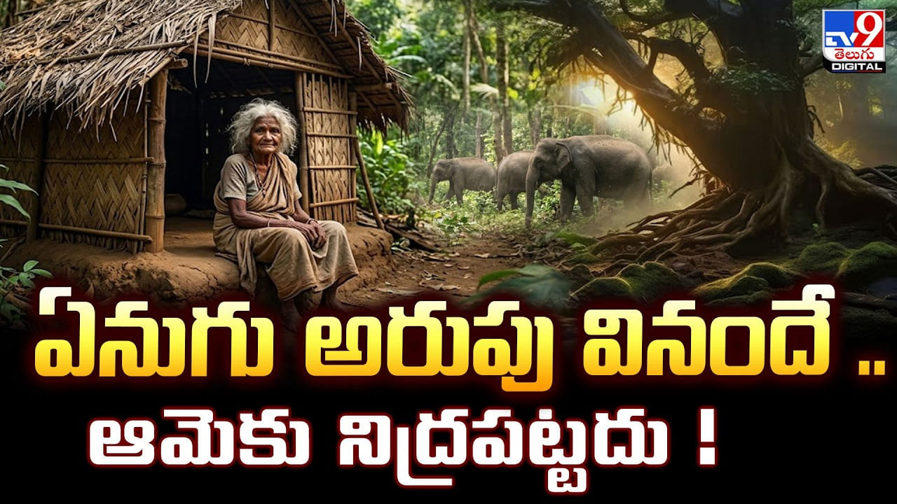 ఏనుగు అరుపు వినందే.. ఆమెకు నిద్రపట్టదు !