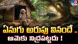 ఇంటి బయట నిద్రించిన బాలుడు.. కాటేసిన కట్లపాము, రక్తపింజర.. చివరకు