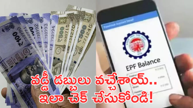 PF అకౌంట్‌లో వడ్డీ జమ అయిందా? ఇలా చెక్‌ చేస్కోండి!