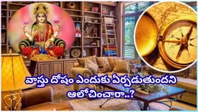 లక్ష్మీదేవి ఇంటికొచ్చే వేళ.. ఈ తప్పులు చేస్తే దరిద్రం వెంటాడుతు..