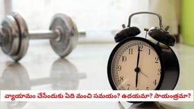 వ్యాయామం చేసేందుకు ఏది మంచి సమయం? ఉదయమా? సాయంత్రమా?