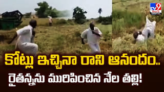 ప్రతి ఇంట్లో పాములే.. వాటితోనే పిల్లల ఆటలు.. ఈ ఊరి కథ తెలిస్తే మీ మైండ్ బ్లాంకే..
