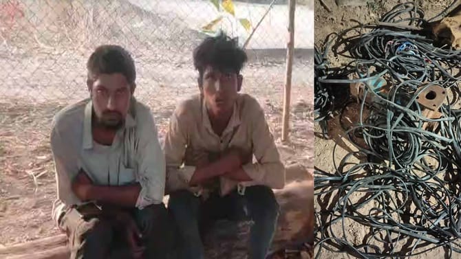 అన్నదాత ఐడియా ‘అదుర్స్’.. దొంగలు చిత్తు!
