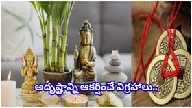 ఫెంగ్ షుయ్ వాస్తు.. ఈ విగ్రహాలను ఇంటికి తెచ్చుకుంటే డబ్బే డబ్బు..