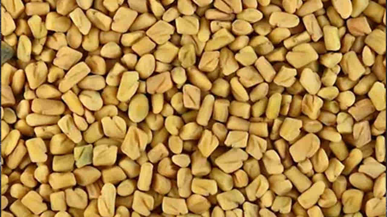 Fenugreek: మెంతులు కాదు.. మనకు అమృత గుళికలు
