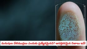 కోట్లాది మంది ఉన్నా మీ వేలిముద్ర మాత్రం ఎందుకు మారదు?