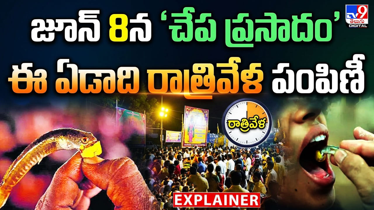 జూన్ 8న ‘చేప ప్రసాదం’ ఈ ఏడాది రాత్రివేళ పంపిణీ
