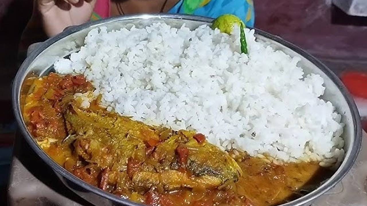 అయితే, బీజేపీ ఈ తీవ్ర ఆరోపణలను ఖండింస్తూ, తాము అధికారంలోకి వస్తే పార్టీ అలాంటి చర్యలు తీసుకోదని అప్పుడు హామీ ఇచ్చింది. నిజానికి, అనురాగ్ ఠాకూర్‌తో సహా కొందరు బీజేపీ నాయకులు బెంగాలీ సంస్కృతి పట్ల తమకున్న అనుబంధాన్ని చాటుకోవడానికి చేపలు, అన్నం విందులలో పాల్గొనడమే కాకుండా, ఆ నామినేషన్ ర్యాలీల సమయంలో చేపలను కూడా తీసుకుని వెళ్ళారు. 
