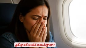 ఫ్లైట్ ట్రావెల్‌ అంటేనే భయమేస్తోందా?