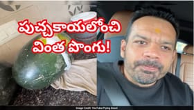 ఓరీ దేవుడో..ఇదేం పొంగురా సామీ..! ఇది పుచ్చకాయనా లేదంటే..