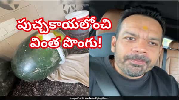 Viral Video: ఓరీ దేవుడో..ఇదేం పొంగురా సామీ..! ఇది పుచ్చకాయనా లేదంటే..