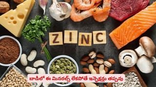 వెట్ వైప్స్‌తో ముఖం తుడుచుకుంటున్నారా? రిఫ్రెషింగ్ ఫీలింగ్ వెనుక దాగున్న చేదు నిజం