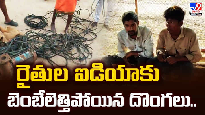 రైతుల ఐడియాకు బెంబేలెత్తిపోయిన దొంగలు రైతుల ఐడియాకు బెంబేలెత్తిపోయిన దొంగలు