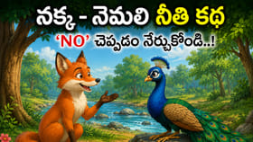నక్క – నెమలి నీతి కథ: 'No' చెప్పడం నేర్చుకోండి..