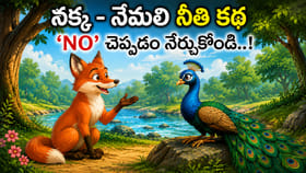 నక్క – నెమలి నీతి కథ: 'No' చెప్పడం నేర్చుకోండి..