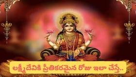 శుక్రవారం ఈ వస్తువులు ఇంటికి తెస్తే లక్ష్మీ కటాక్షం.. డబ్బు..