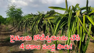 బాదుడే బాదుడు.. మళ్లీ పెరిగిన సీఎన్‌జీ ధర.. 12 రోజుల్లో నాలుగోసారి!