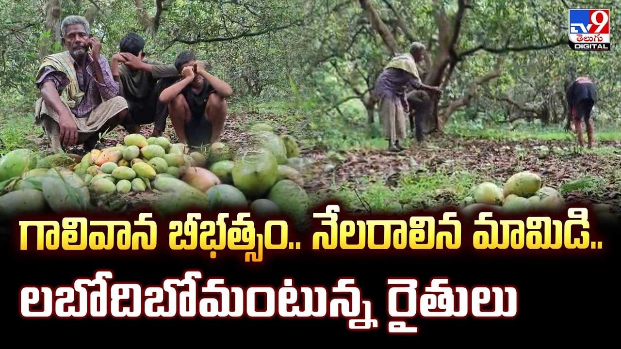 గాలివాన బీభత్సం..నేలరాలిన మామిడి..