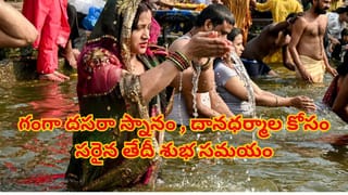 రైతన్న చిట్కాతో ఇంట్లోనే ఈ  టమాటా మొక్కల్ని పెంచొచ్చు.. ఆ కాపుకు గంపలు నిండేలా టమాటాలు