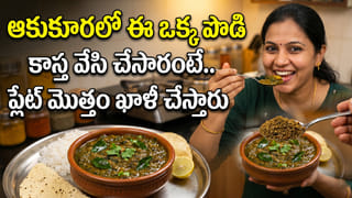 Fish Care Tips: మీ ఇంట్లో ఆక్వేరియం ఉందా..? ఈ చిట్కాలు పాటించకపోతే మీ బుజ్జి చేపలు ప్రమాదంలో పడ్డట్టే!