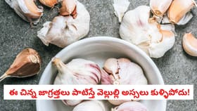 ఈ చిన్న జాగ్రత్తలు పాటిస్తే వెల్లుల్లి అస్సలు కుళ్ళిపోదు!