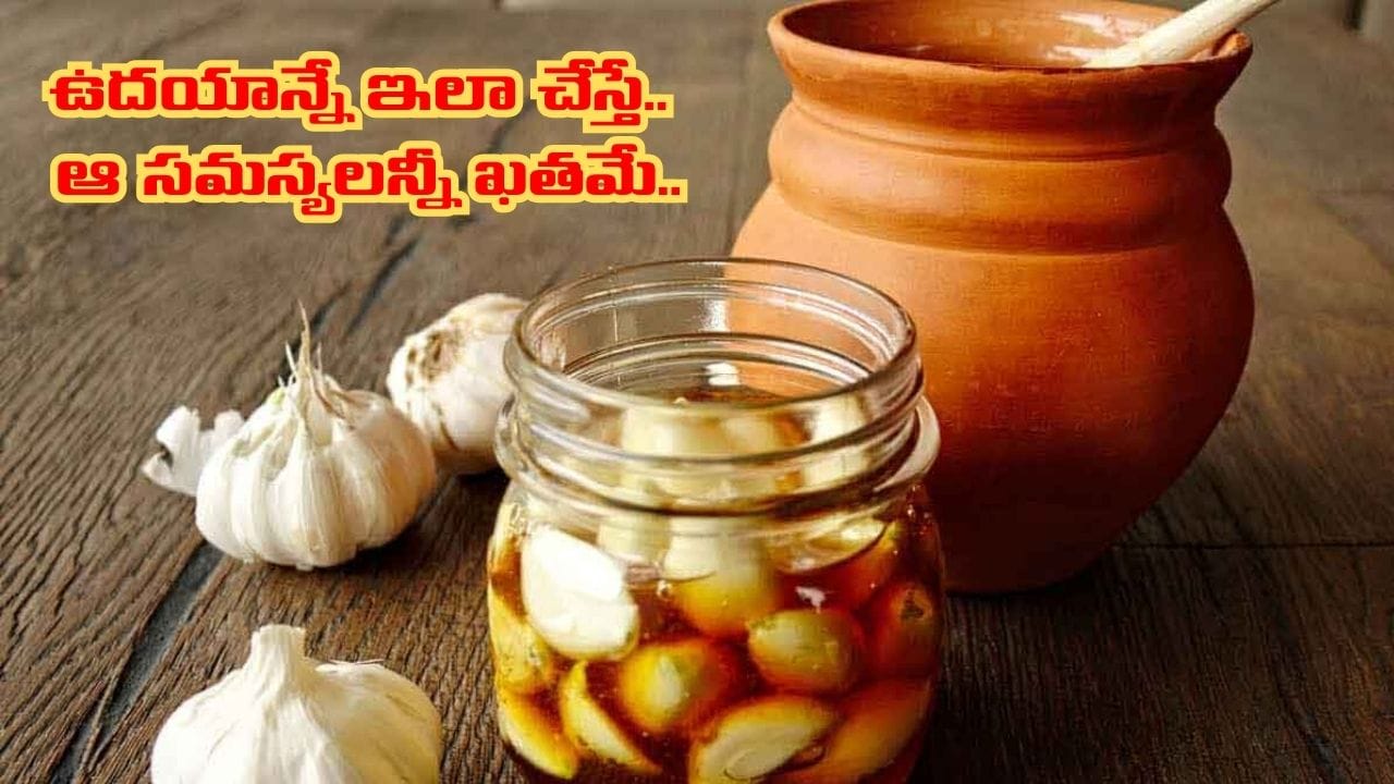 మార్నింగ్ మంత్రం.. ఖాళీ కడుపుతో వెల్లుల్లి, తేనె కలిపి తింటే శరీరంలో ఏం జరుగుతుందో తెలుసా..?