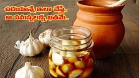 మార్నింగ్ మంత్రం.. ఖాళీ కడుపుతో వెల్లుల్లి, తేనె కలిపి తింటే..