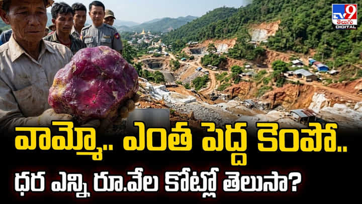 వామ్మో.. ఎంత పెద్ద కెంపో.. ధర ఎన్ని రూ.వేల కోట్లో తెలుసా ?? వామ్మో.. ఎంత పెద్ద కెంపో.. ధర ఎన్ని రూ.వేల కోట్లో తెలుసా ??