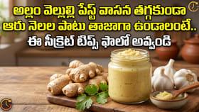 అల్లం వెల్లుల్లి పేస్ట్ ఆరు నెలల పాటు తాజాగా ఉండాలంటే.. ఈ టిప్స్