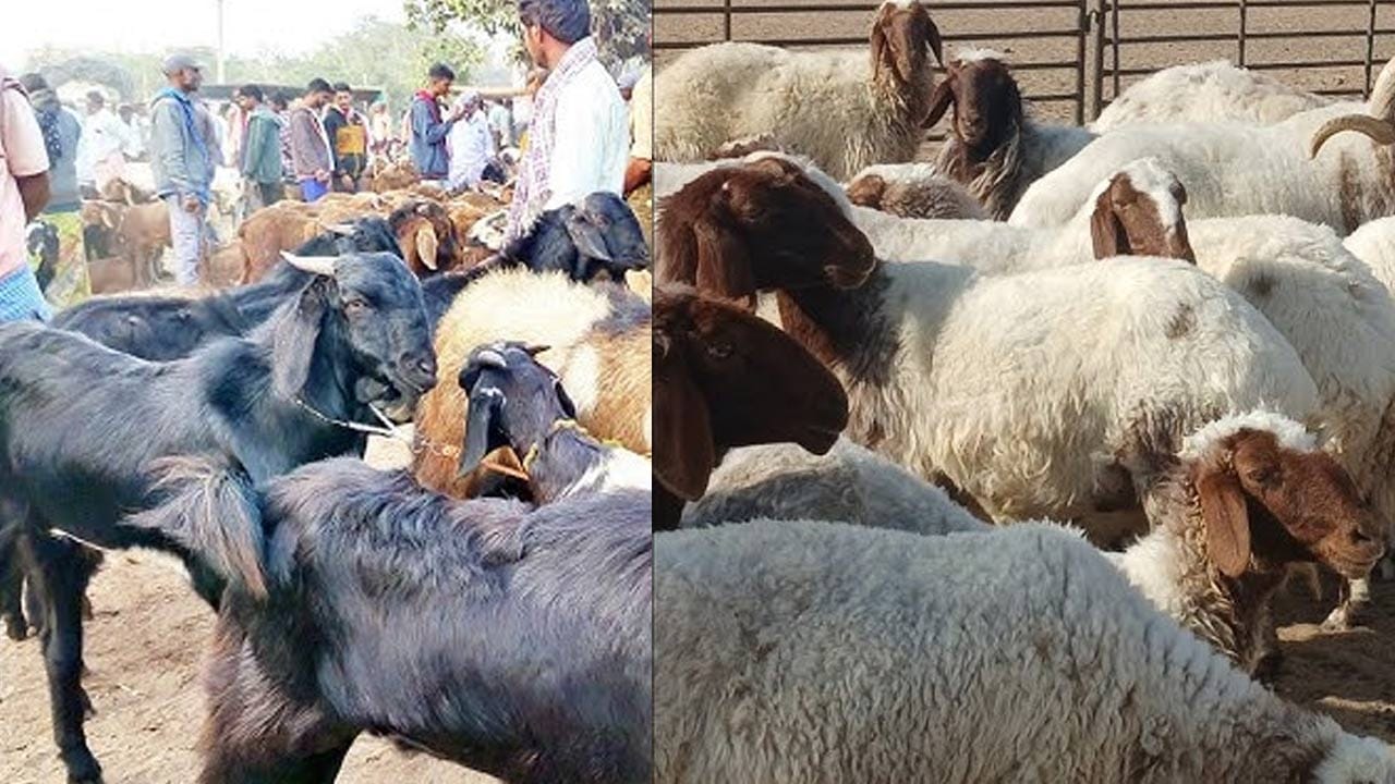 అయితే, ఏ వేసవిలో ఏదైనా సరే ఎక్కువ తినడం అస్సలు మంచిది కాదు. ఎందుకంటే, దీనిలో మసాలాలు వేస్తారు. ఇంకా వీటిలో నూనె కూడా వేయడం వలన అది  శరీర ఉష్ణోగ్రతను పెంచేలా చేస్తుంది. దీని వలన డీహైడ్రేషన్, కడుపు నొప్పి,  అజీర్ణం వంటి సమస్యలు కూడా వస్తాయని నిపుణులు చెబుతున్నారు. 
