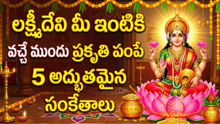 Apara Ekadashi: అపర ఏకాదశి రహస్యం.. సంపద రావాలంటే ఇవి చేయండి.. ఇలా చేస్తే నష్టం తప్పదు