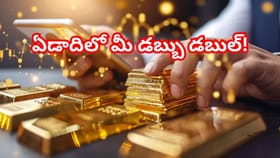 బంగారం ధరలతో విసిగిపోయారా? ఏడాదిలో మీ డబ్బు డబుల్ అవ్వాలంటే