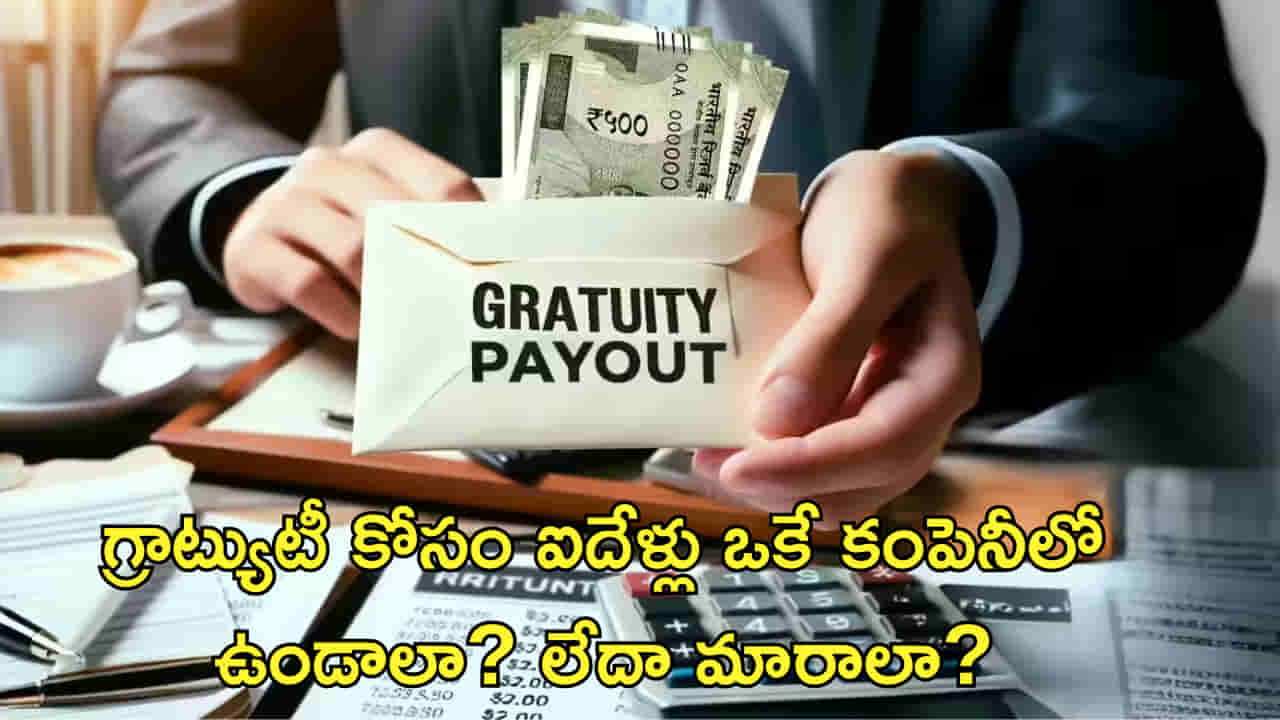 గ్రాట్యుటీ కోసం ఐదేళ్లు ఒకే కంపెనీలో ఉండాలా? బెటర్ ప్యాకేజీ కోసం రిస్క్ తీసుకోవాలా?