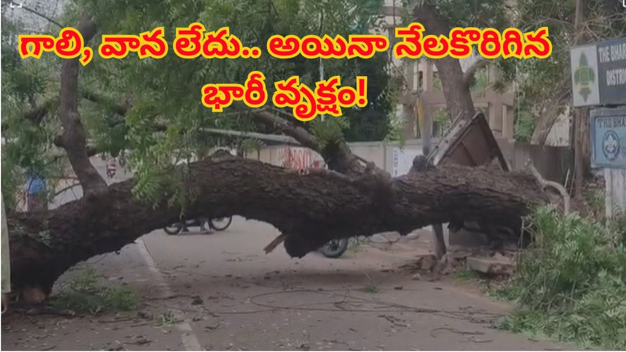 రైల్వే స్టేషన్కు వెళ్తుండగా విరుచుకుపడ్డ మృత్యువు..భార్య, కొడుకు కళ్లెదుటే భర్త దుర్మరణం! ఏం జరిగిందో చూస్తే..