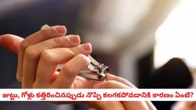 జుట్టు, గోళ్లు కత్తిరించినప్పుడు నొప్పి కలగకపోవడానికి కారణం ఏంటి?