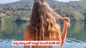 చిన్న చిట్కాలతో సమ్మర్ హెయిర్ ఫాల్‌కి చెక్