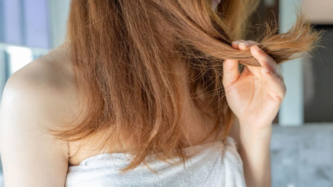 పొడి జుట్టు (Dry/Curly Hair): పొడి జుట్టు ఉన్నవారు వారానికి ఒకటి లేదా రెండుసార్లు మాత్రమే షాంపూ చేయాలి. తరచుగా కడగడం వల్ల జుట్టు మరింత నిర్జీవంగా మారి, చిట్లిపోయే ప్రమాదం ఉంది. సాధారణ జుట్టు (Normal Hair) వారు వారానికి 2 నుండి 3 సార్లు తలస్నానం సరిపోతుంది. షాంపూ చేయడానికి ముందు రోజు రాత్రి మీ జుట్టుకు, తలకు నూనె రాసుకోవడం చాలా ముఖ్యం. నూనెతో జుట్టుకు మసాజ్ చేయడం వల్ల అది లోపలి నుండి పోషణ పొందుతుంది. 