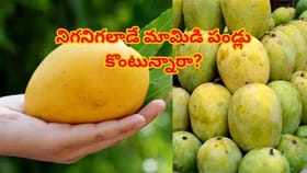 మామిడిపండ్లు కొంటున్నారా? అయితే జాగ్రత్త!ఈ విషయాలు గుర్తుంచుకోండి