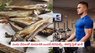 Dry Fish Nutrition: పురుషులు అస్సలు మిస్ కావద్దు: ఎండు చేపలు వారానికి ఒకసారి తింటే ఆ పవరే వేరు..