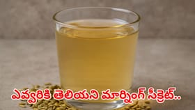 ఎవ్వరికి తెలియని సోంపు సీక్రెట్.. ఉదయాన్నే వాటర్ తాగితే ఒంట్లో అద