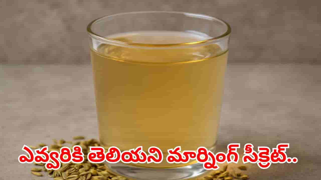 అబ్రకదబ్ర.. అద్భుతమైన డ్రింక్.. ఉదయాన్నే ఒక్క గ్లాస్ తాగితే ఏ రోగమైనా ఇట్టె పరార్..