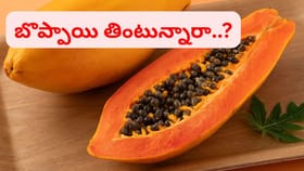 బొప్పాయి పండు తింటున్నారా..? ఈ విషయాలు తెలిస్తే అవాక్కే..