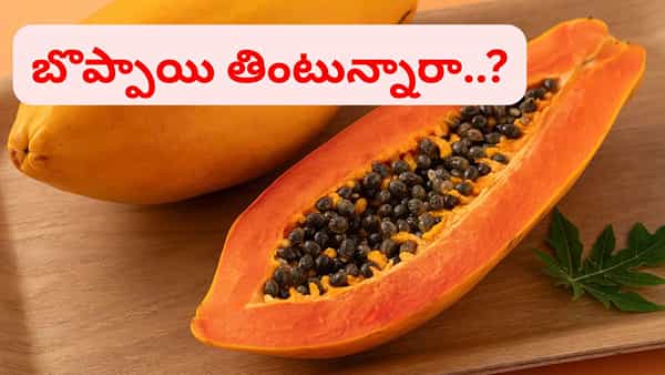 బొప్పాయి పండు తింటే ఇన్ని లాభాలా..? ఈ సీక్రెట్స్ తెలిస్తే రోజూ తింటారు మావ..